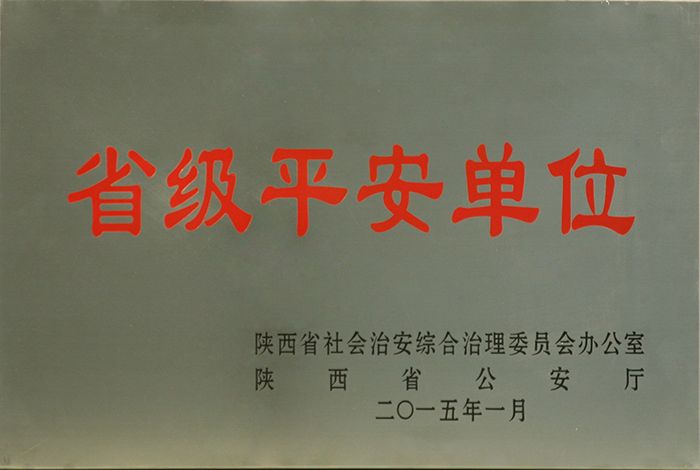 2015年省级平安单位